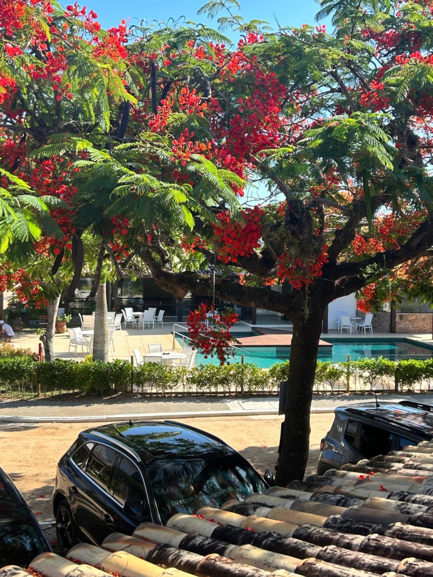 Casa Em Manguinhos-Buzios Búzios Exterior foto